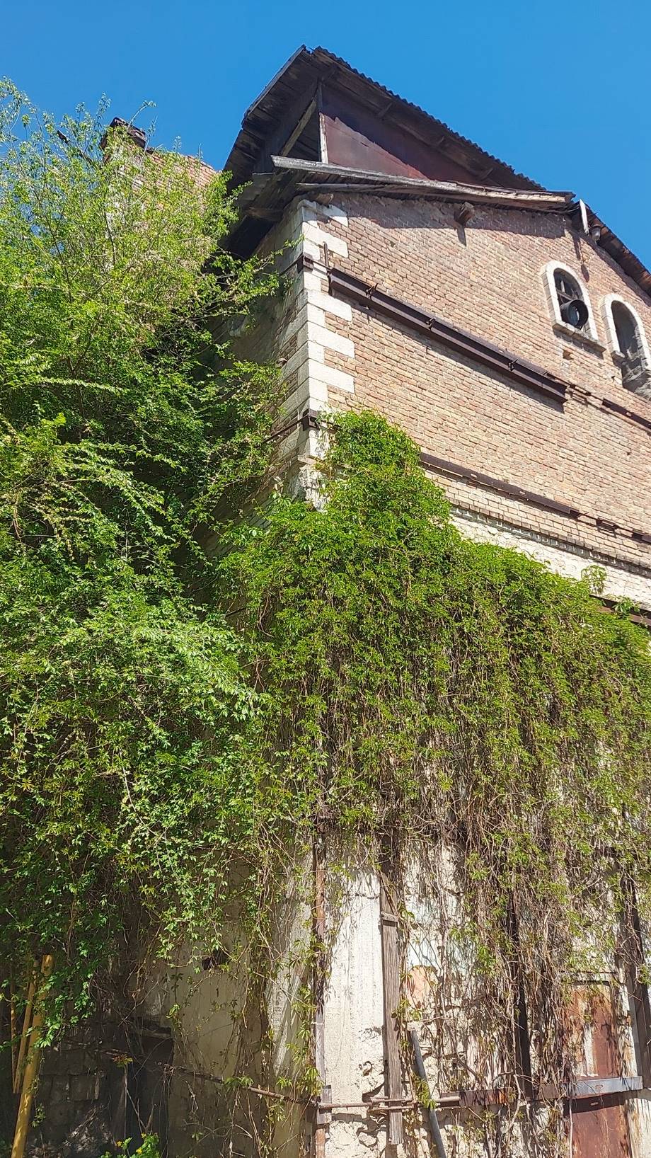 Historic brick monastery tower overgrown with ivy and vegetation