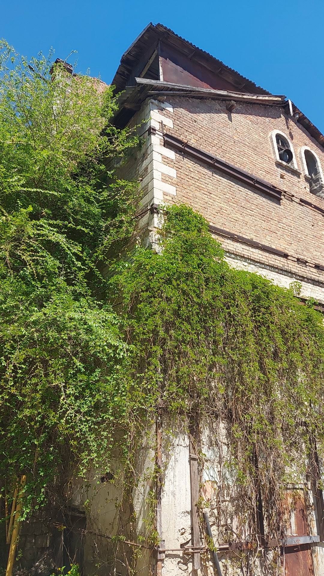 Historic brick monastery tower overgrown with ivy and vegetation