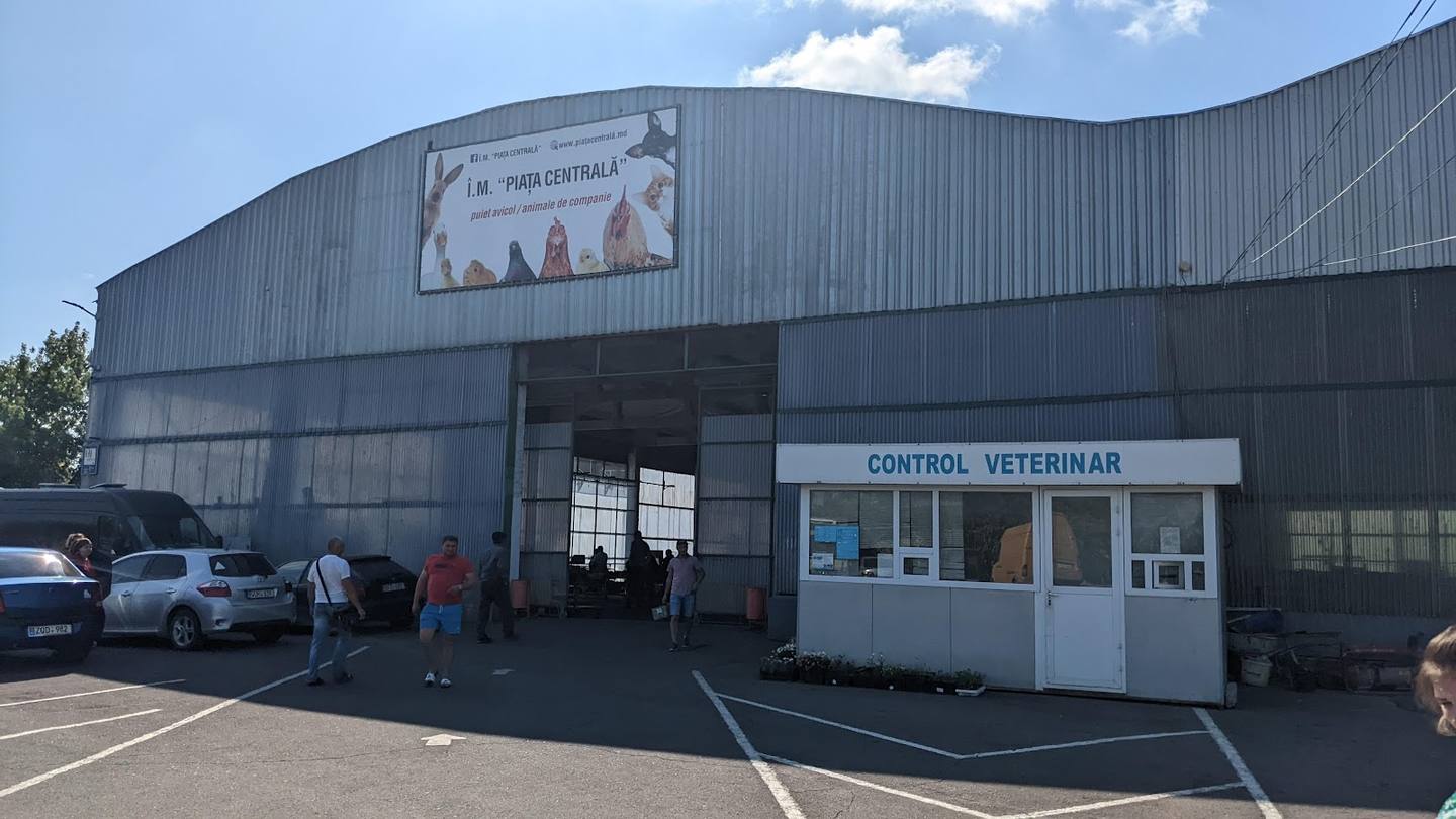 Veterinary clinic exterior with signage and parking area