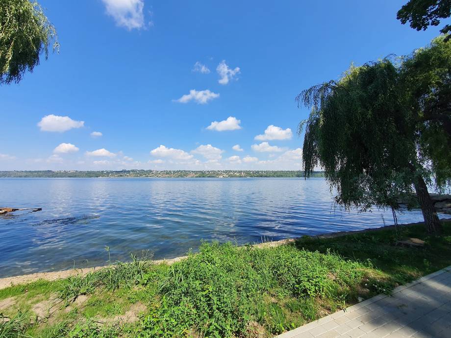 Waterside scenic view with weeping willow and distant shoreline