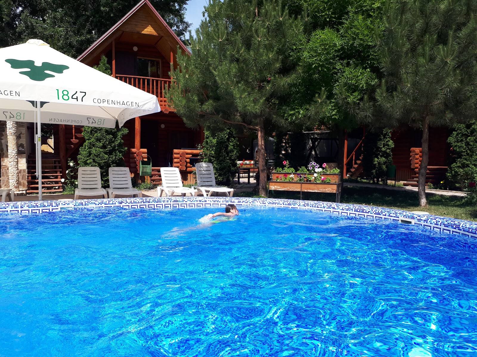Resort swimming pool with wooden lodge and surrounding greenery