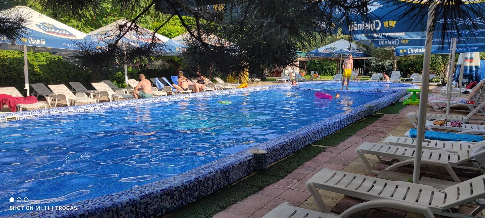 Olympic-size swimming pool with loungers, umbrellas and shaded terrace areas