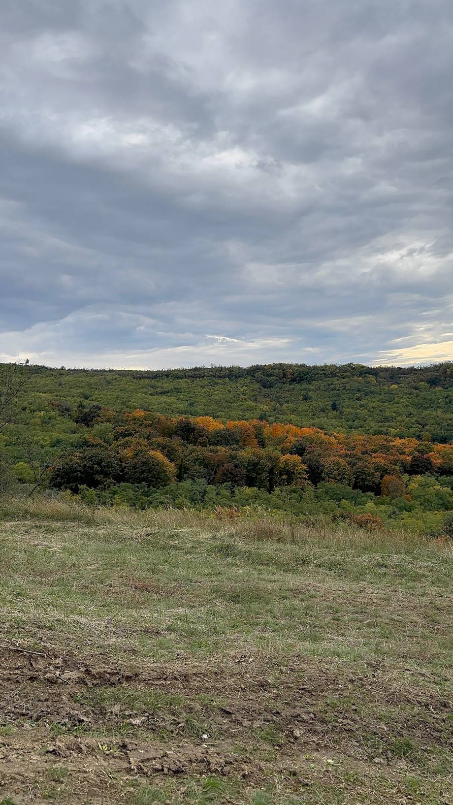 Open hillside with rolling vineyards and cloudy sky at Moldova wine region