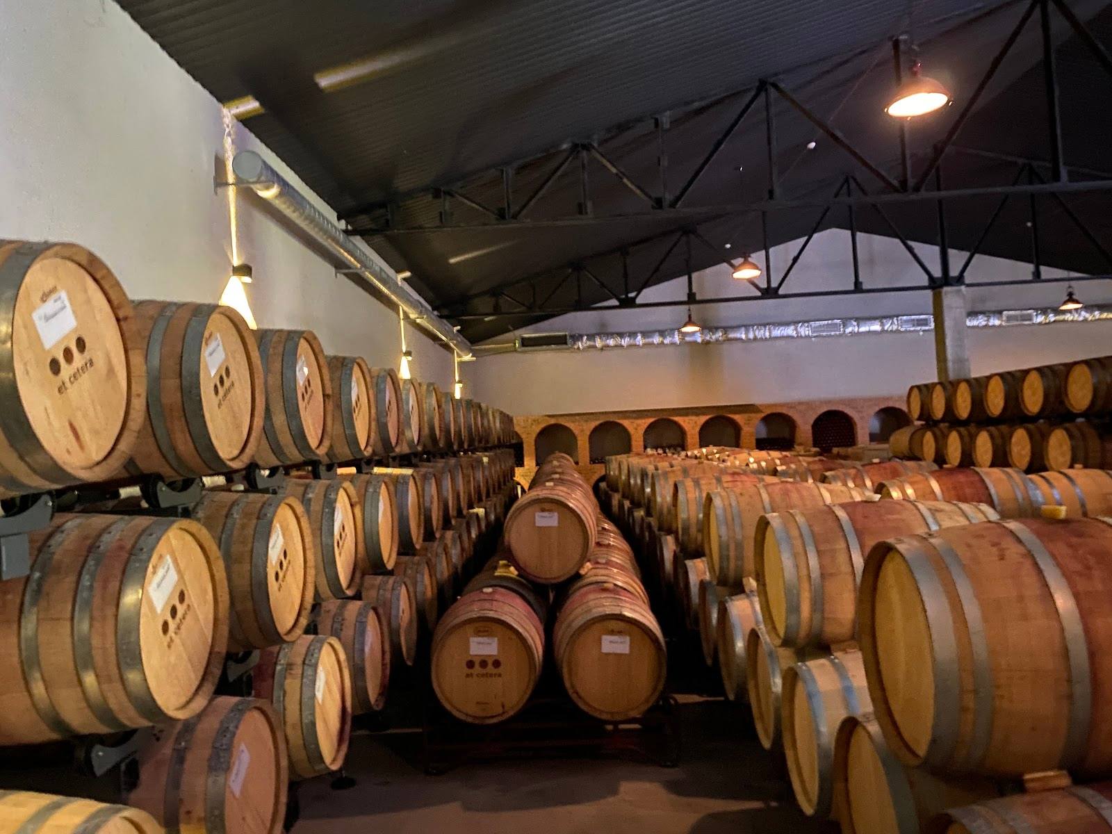 Wine cellar with rows of wooden aging barrels under arched ceiling