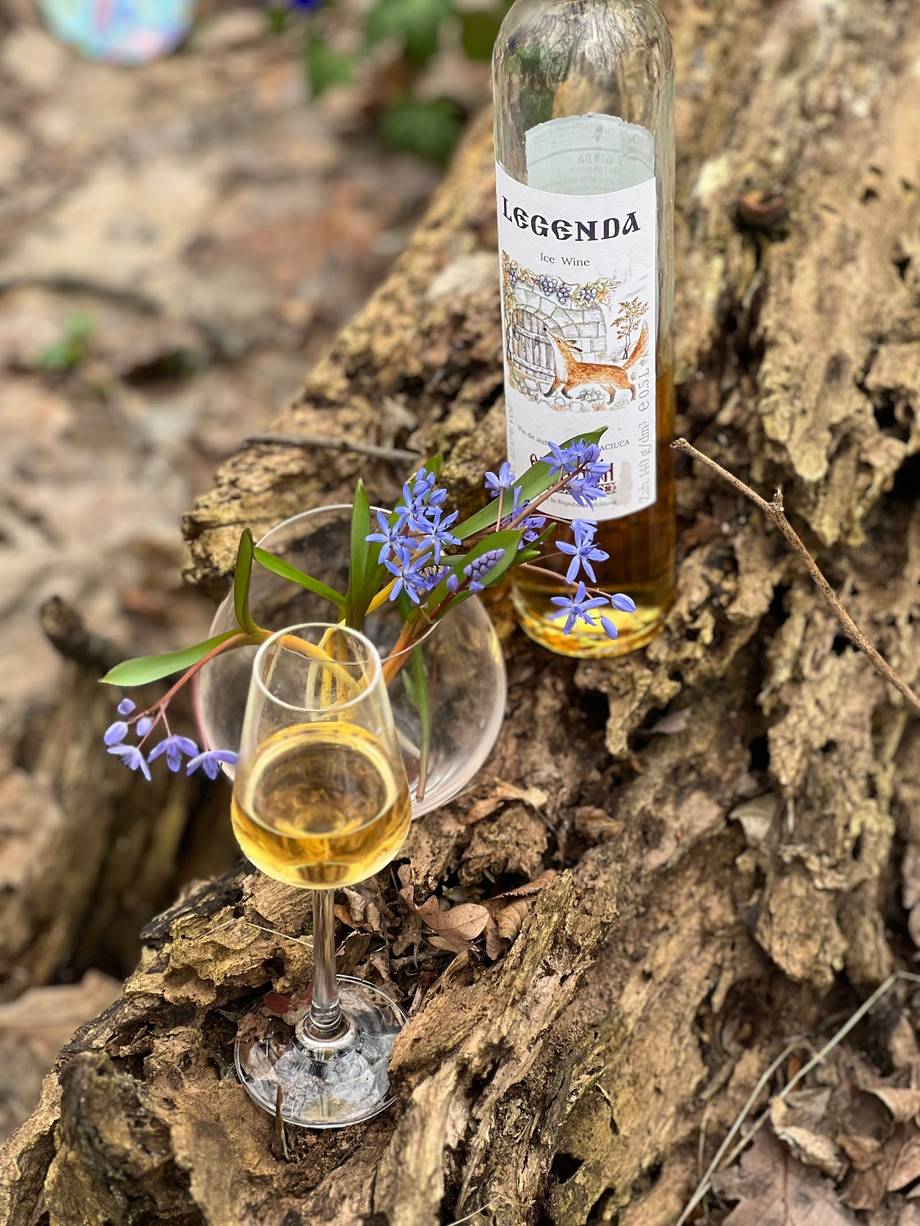 Leggenda wine bottle and glass with purple flowers on rustic stone backdrop