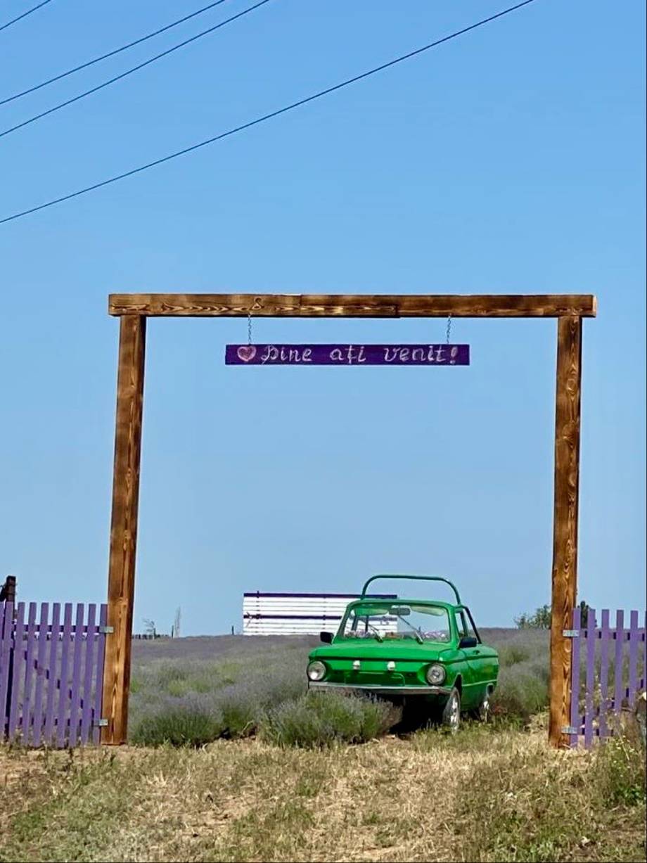 Wine café driveway sign with vintage car and rustic wooden gateway entrance