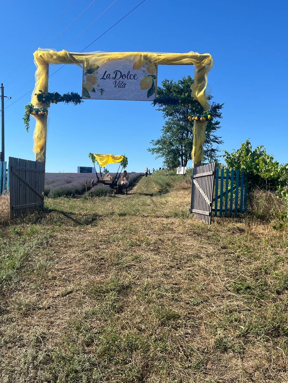 La Dolce Vita winery entrance gate with vineyard grounds and clear branding