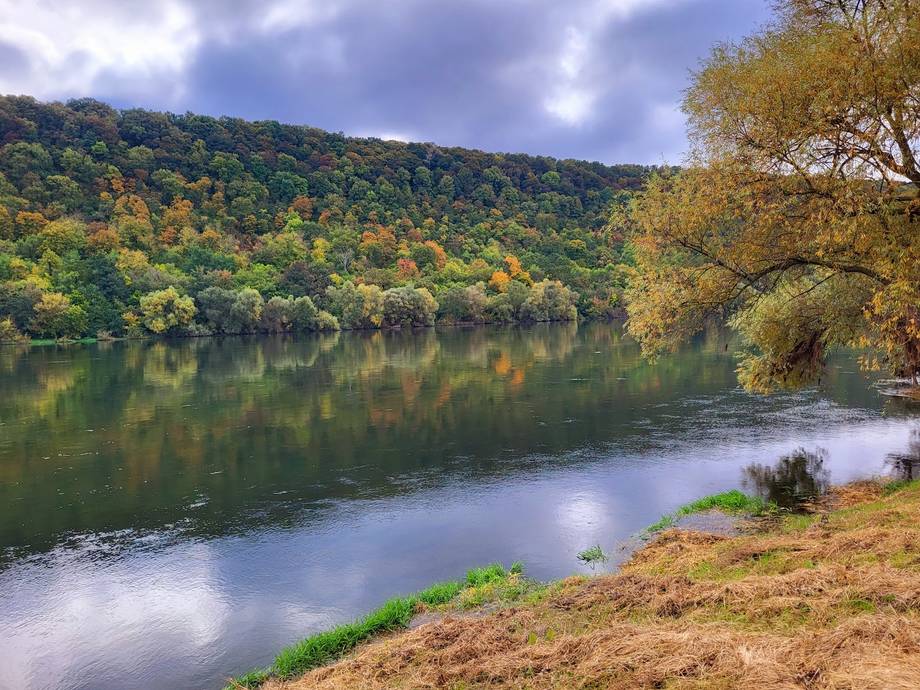 Zăvoiul Nistrului · Eco Village - Сельский пансионат, Egoreni (фото 2)
