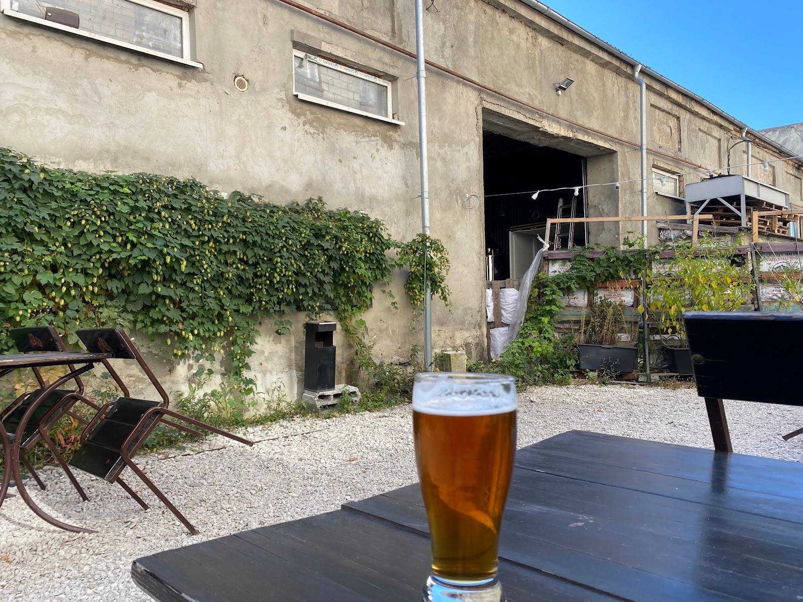 Beer glass on outdoor terrace with industrial courtyard and ivy-draped building