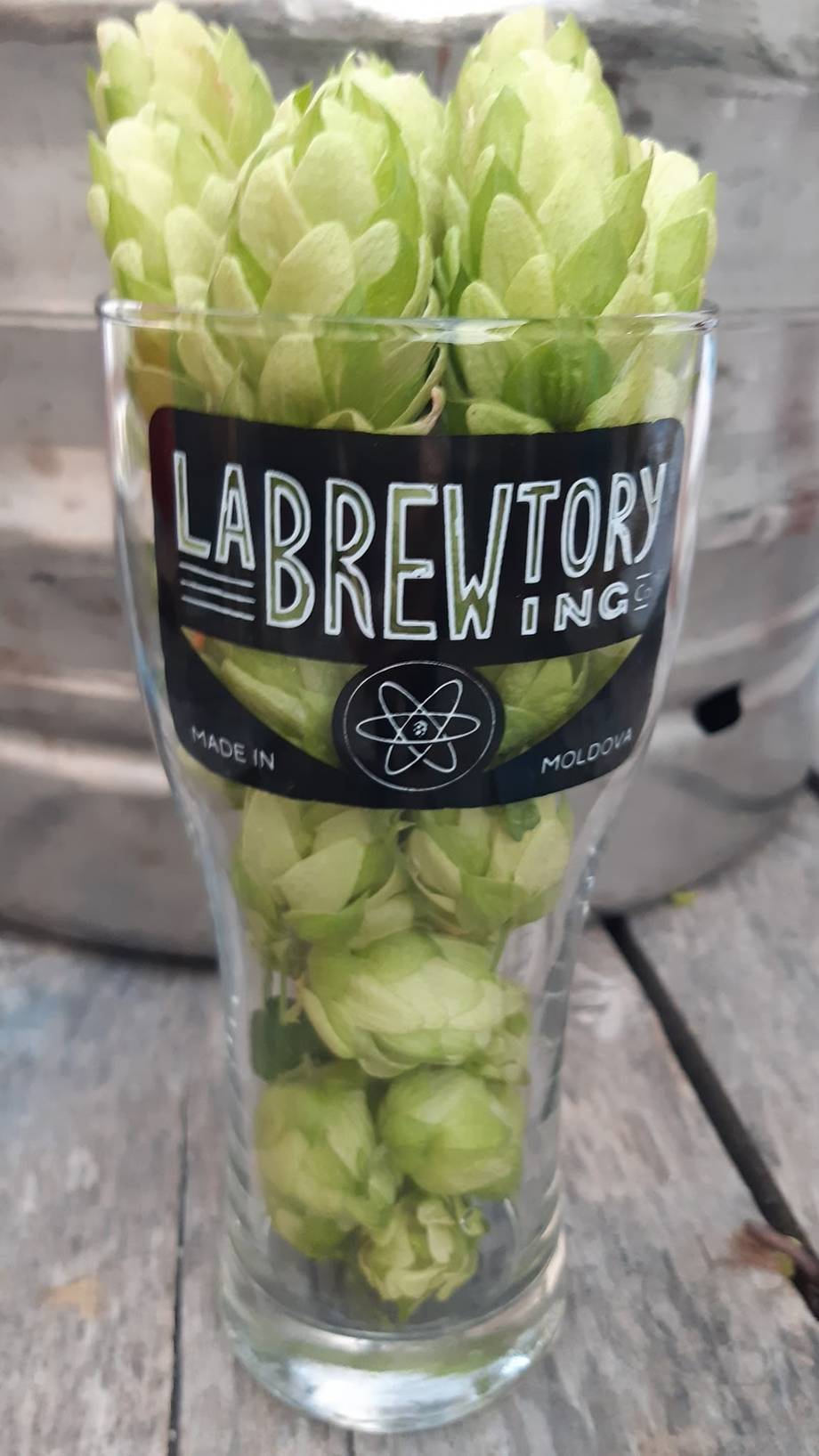 Fresh hop cones in branded Labrewitory glass, Moldova craft brewery