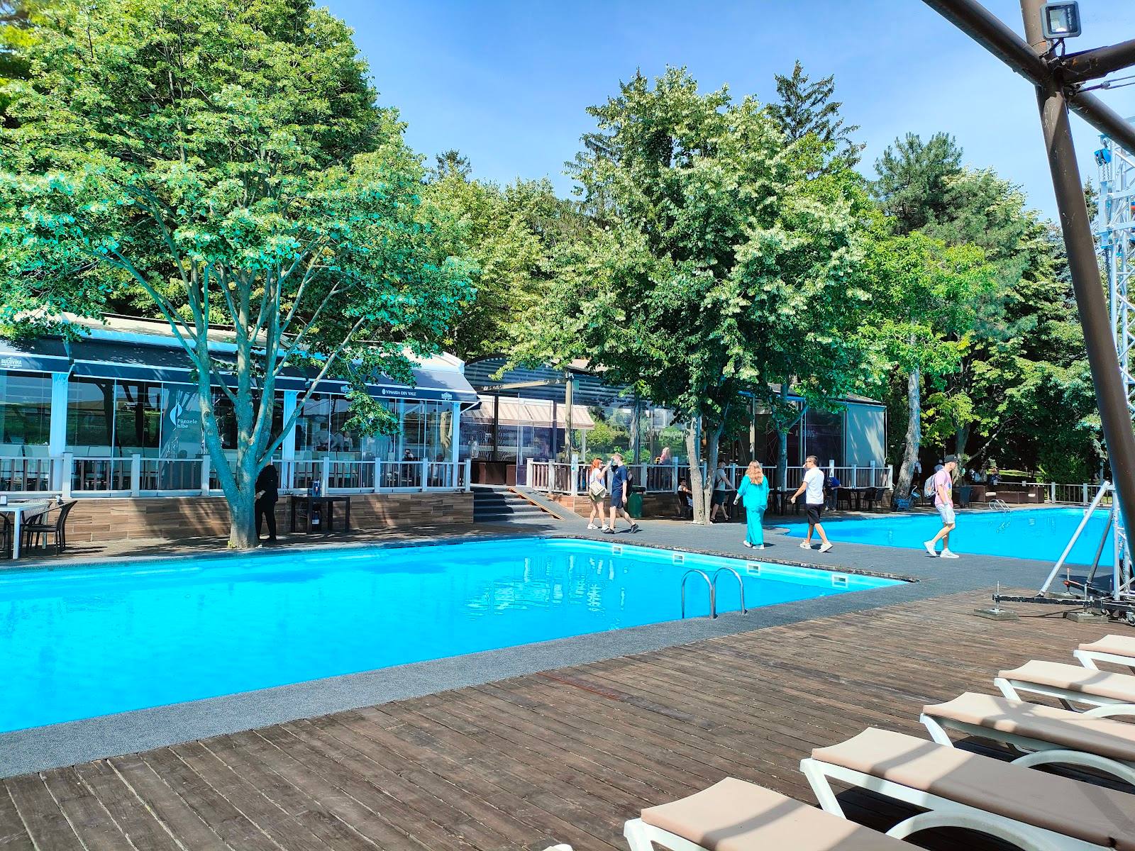 Outdoor pool terrace with loungers, deck, and shaded seating areas surrounded by trees