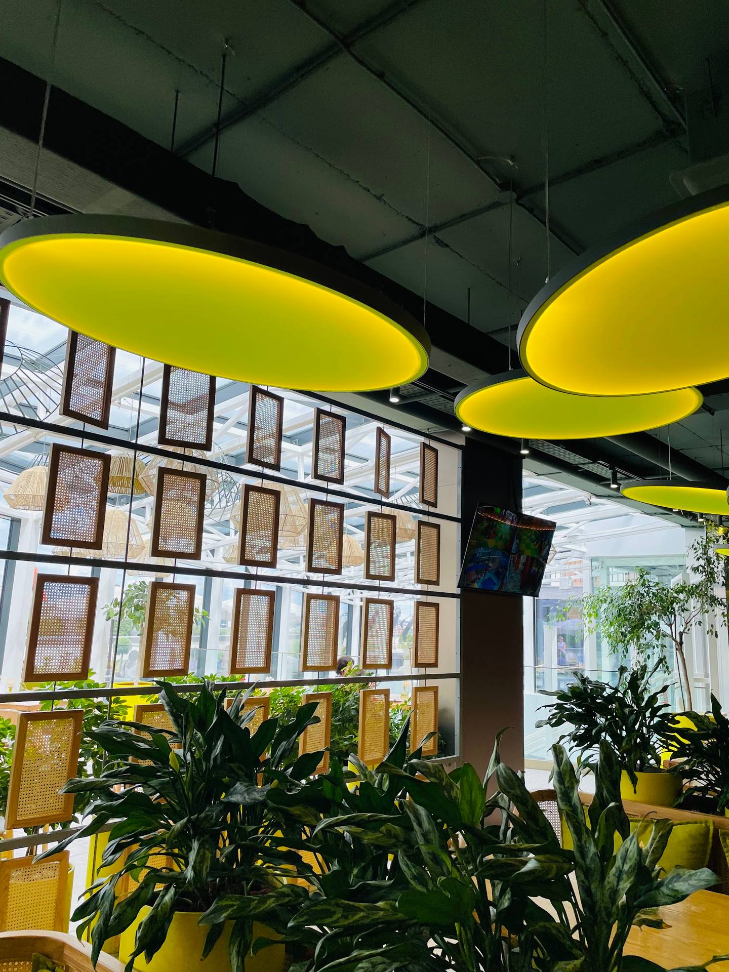 Modern interior with yellow pendant lights, plant displays and menu board wall