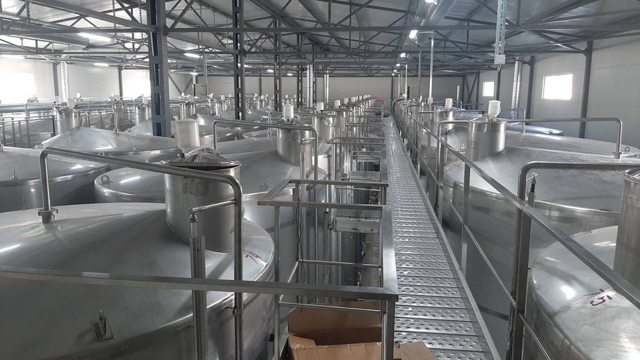 Vinăria Bostavan · Etulia - Crame premium în Găgăuzia (foto 12)