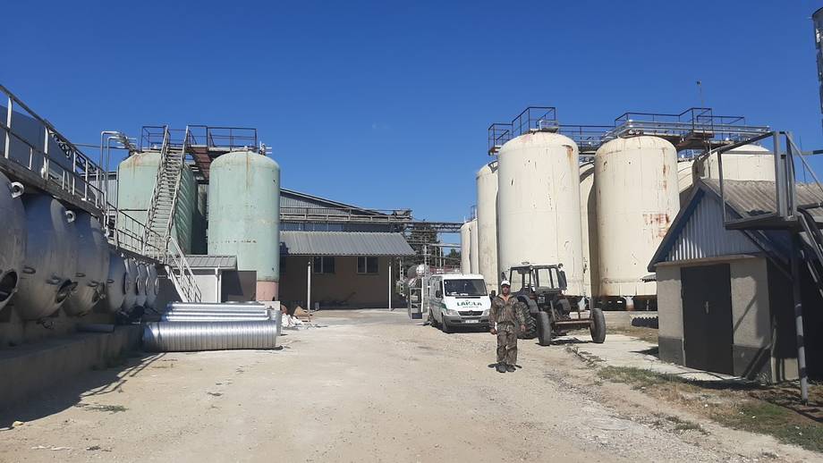 Vinăria Bostavan · Etulia - Crame premium în Găgăuzia (foto 13)