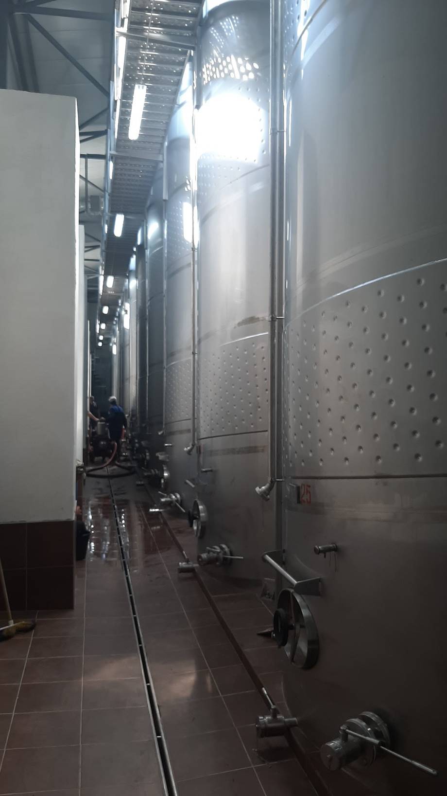 Vinăria Bostavan · Etulia - Crame premium în Găgăuzia (foto 14)