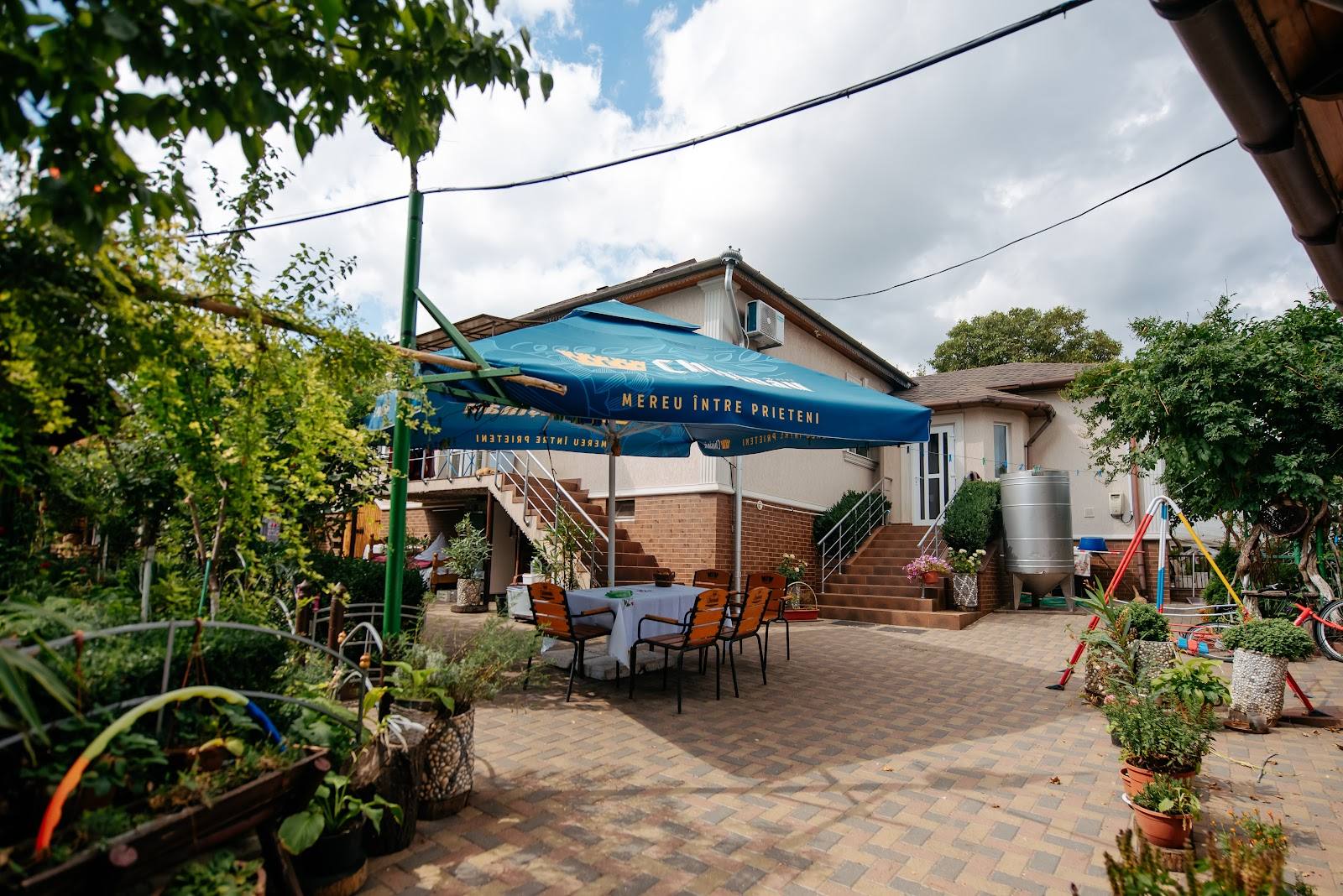 Wine estate with tasting terrace and blue signage, rustic outdoor seating area