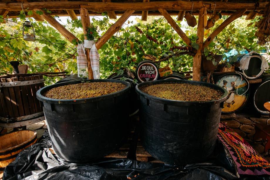 Traditional wine production with large fermentation vessels under wooden pergola