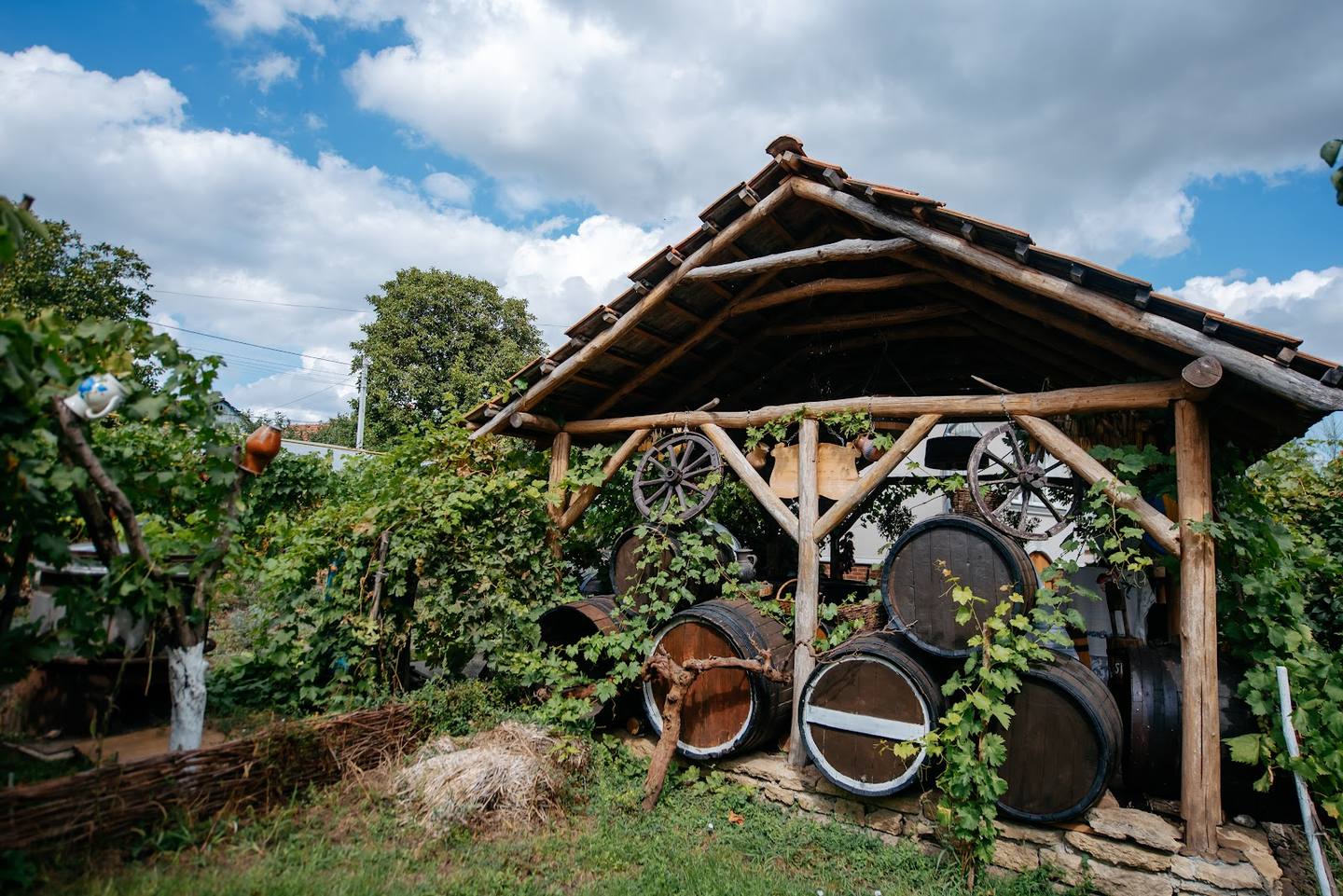 Rustic wooden structure with wine barrels and equipment nestled in vineyard garden setting