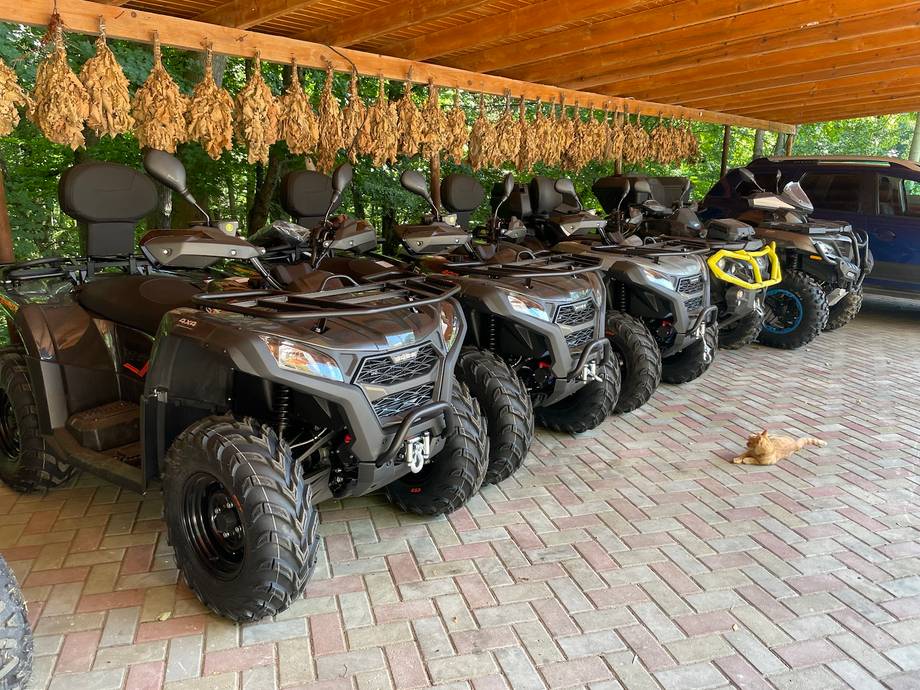 Fleet of ATV quad bikes ready for rental under covered shelter