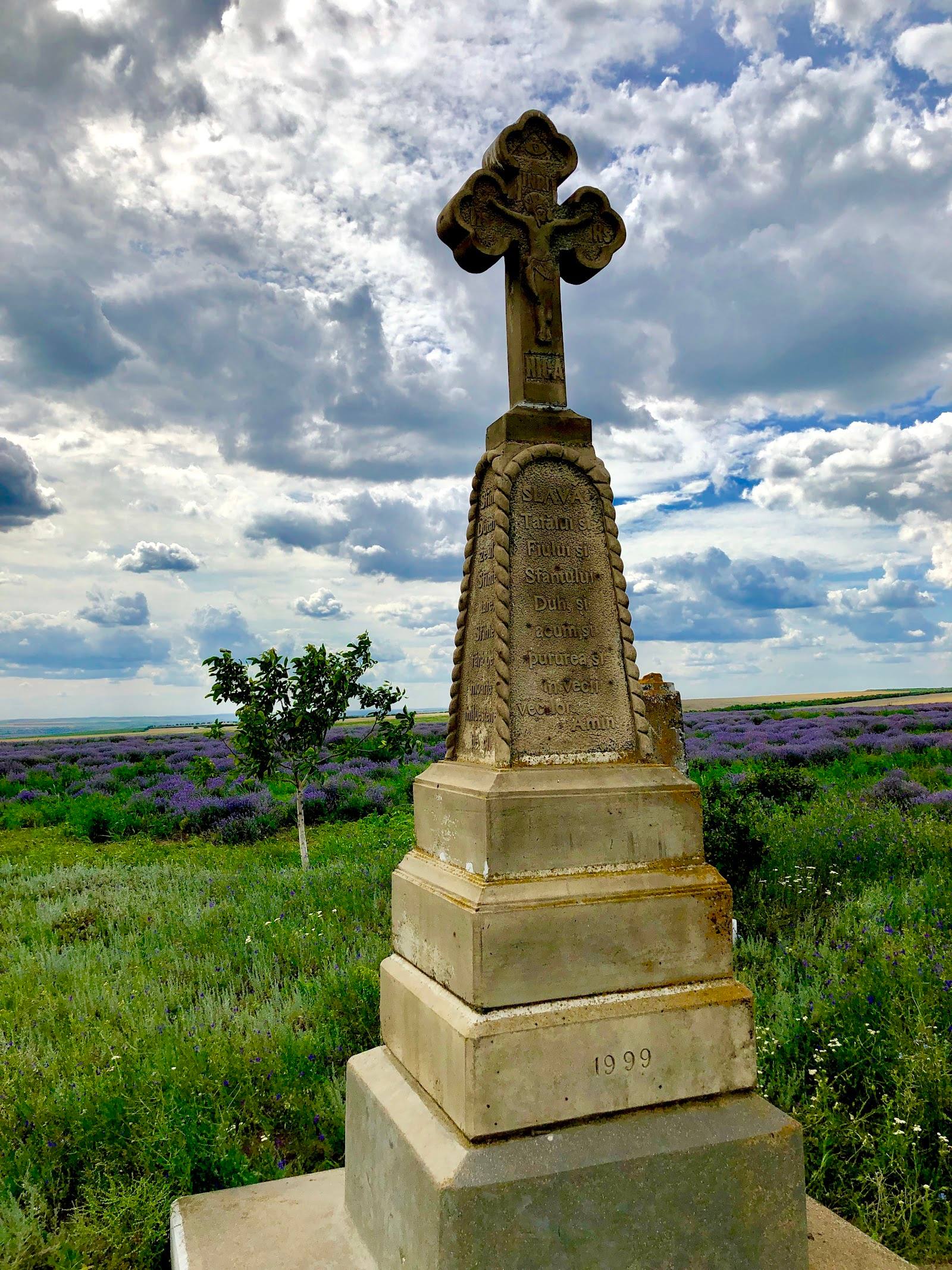 Lavender Field - Punct panoramic în Cobusca Nouă (foto 2)