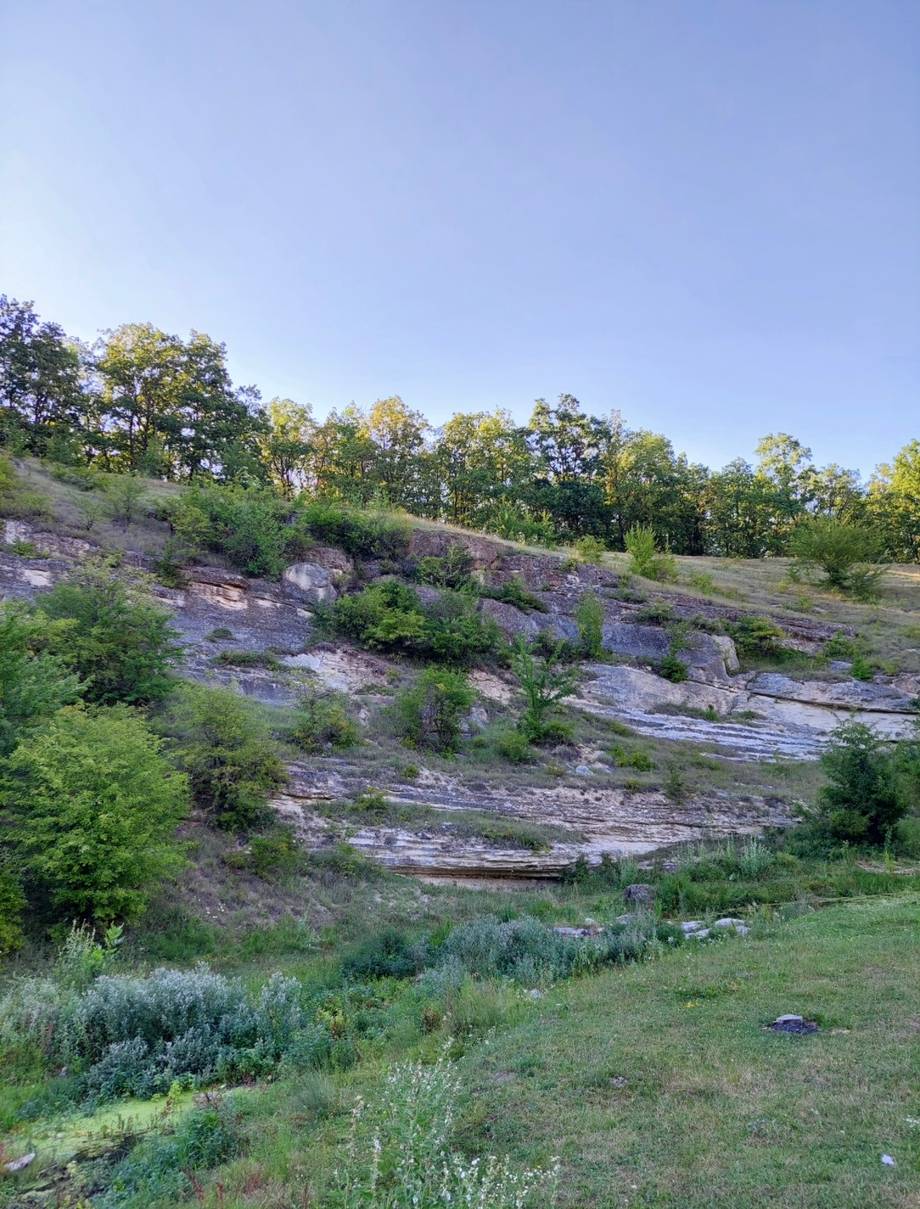 Rezervația Peisagistică „La Castel" - Rezervație naturală în Cobani (foto 8)
