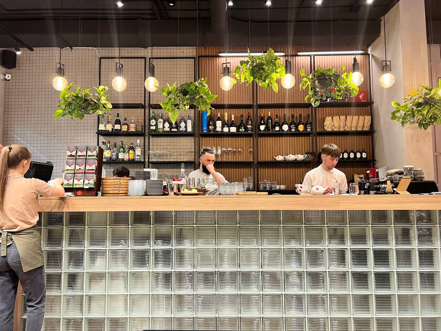 Modern cafe interior with counter, staff, shelving, hanging plants and professional lighting