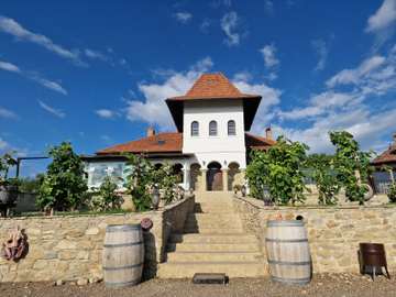 Turism vinicol