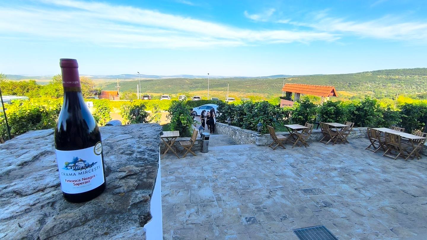 Wine bottle overlooking vineyard rows and rolling hills from terrace