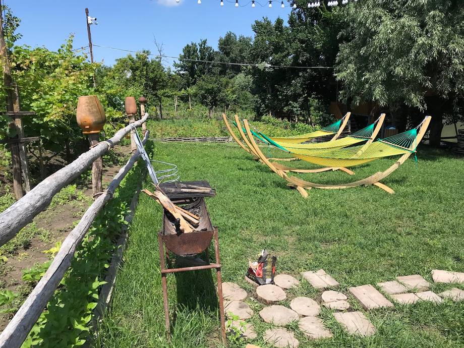 Outdoor relaxation area with hammocks on manicured lawn among trees