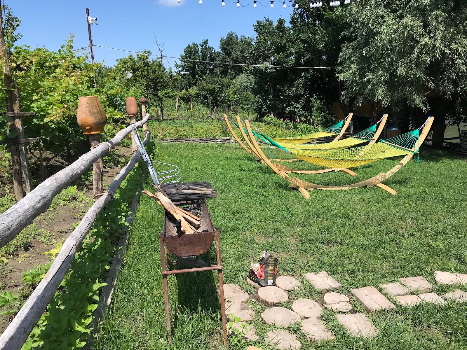 Outdoor relaxation area with hammocks on manicured lawn among trees