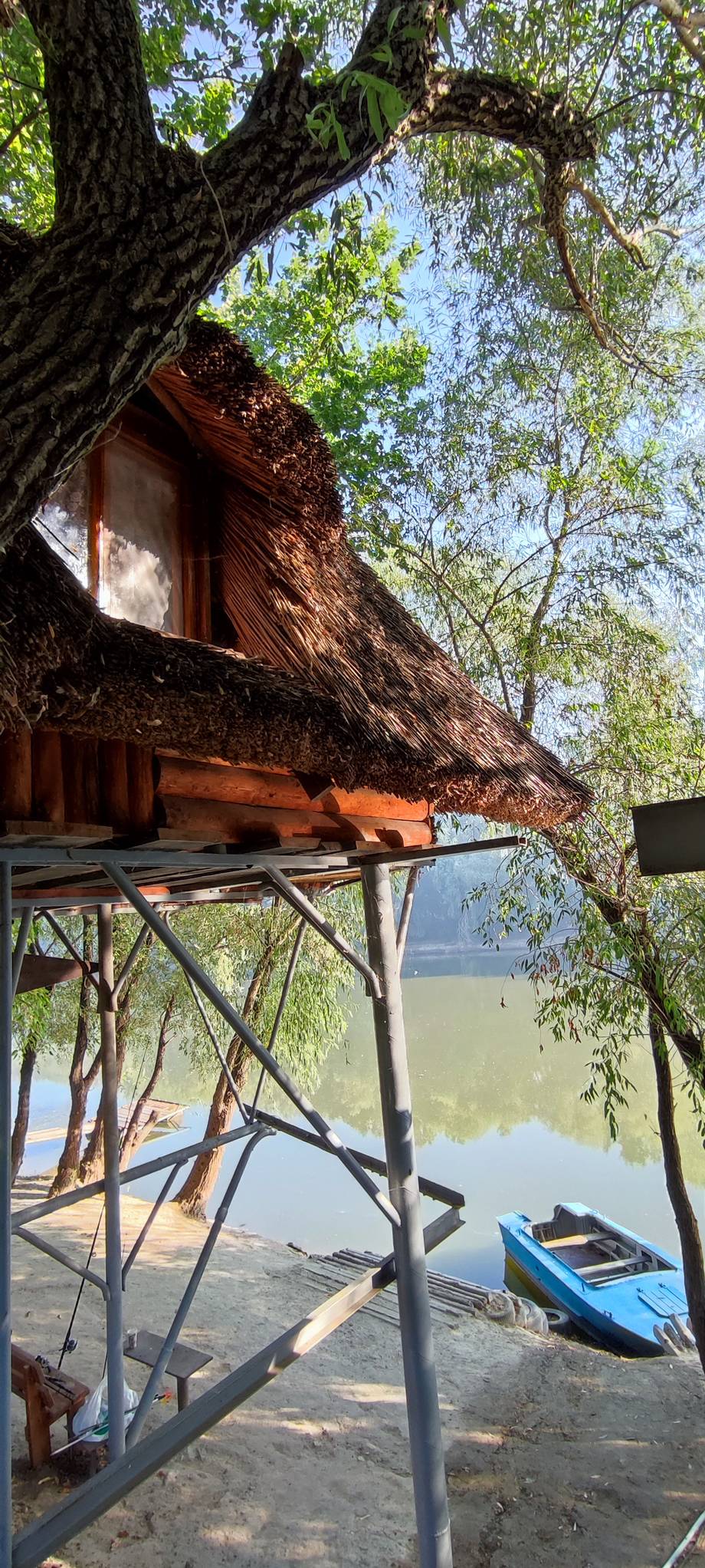 Riverside wooden hut with thatched roof nestled under ancient trees overlooking water and moored boats