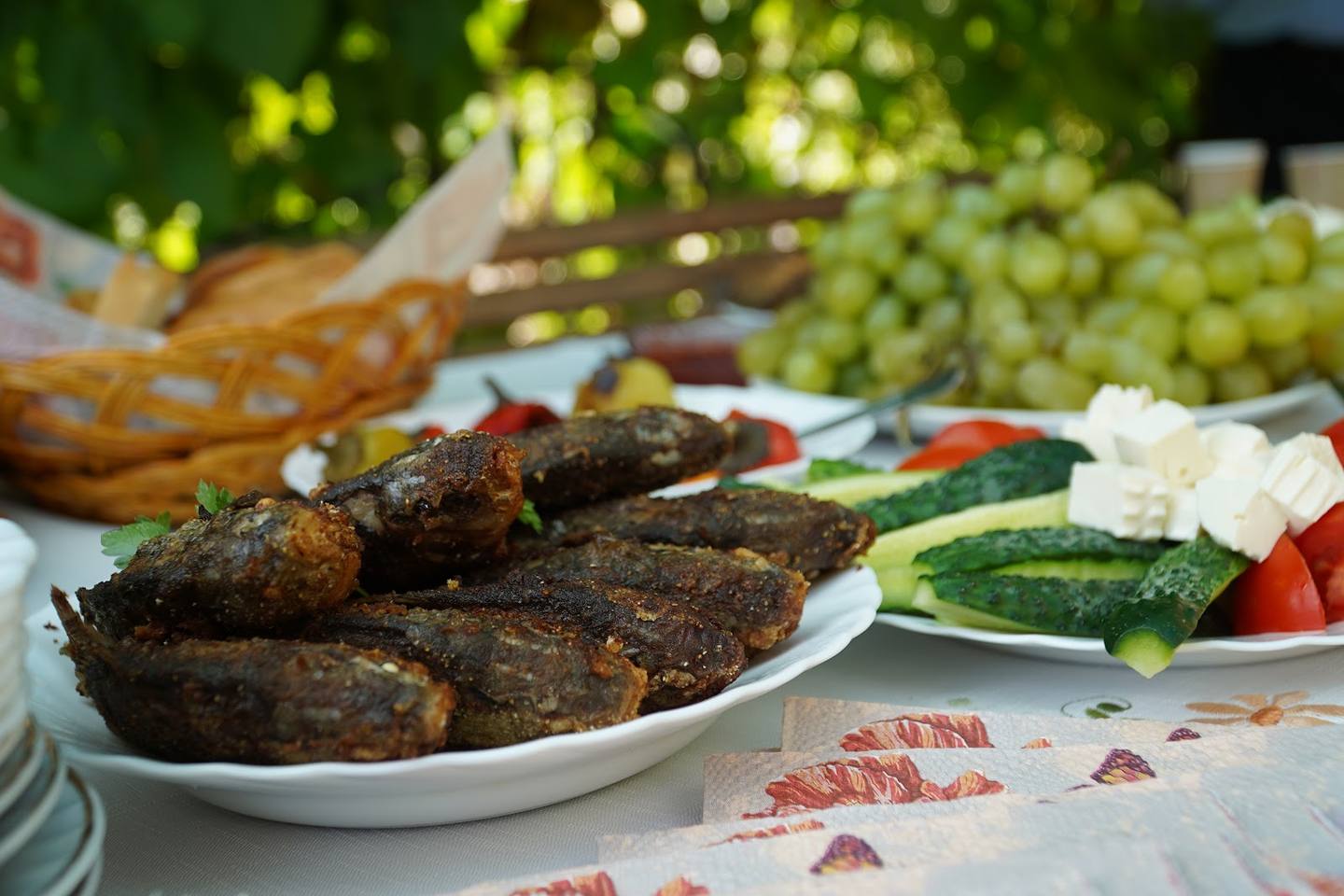 Outdoor picnic spread with grilled meat, vegetables and bread under grapevines