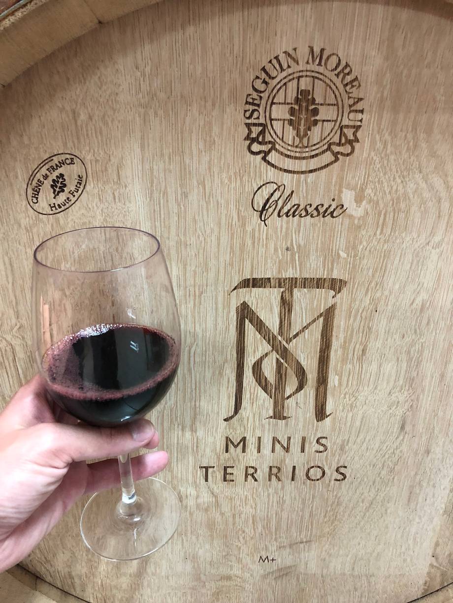 Minis Terrios - Crame boutique în Botanica (foto 4)