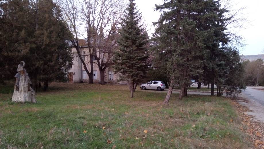 Overgrown grounds with old building and vehicles partially visible through trees