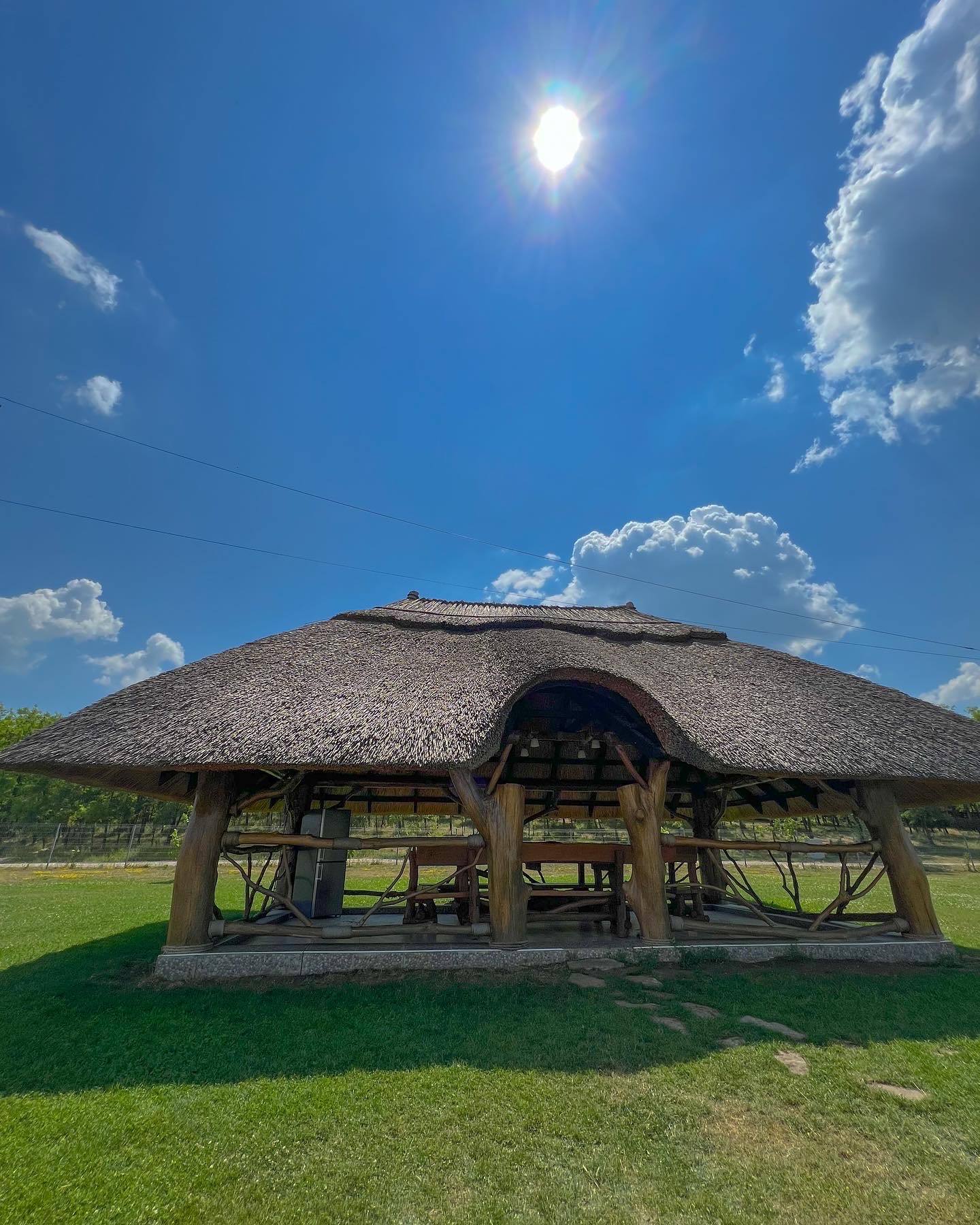 Traditional thatched-roof gazebo in open green field under blue sky
