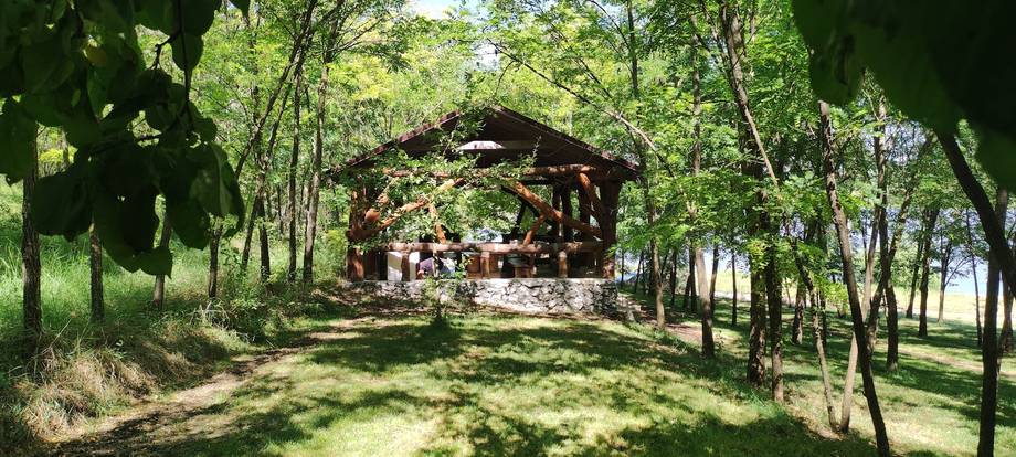 Wooden pavilion among mature trees with ceremony setup in green clearing