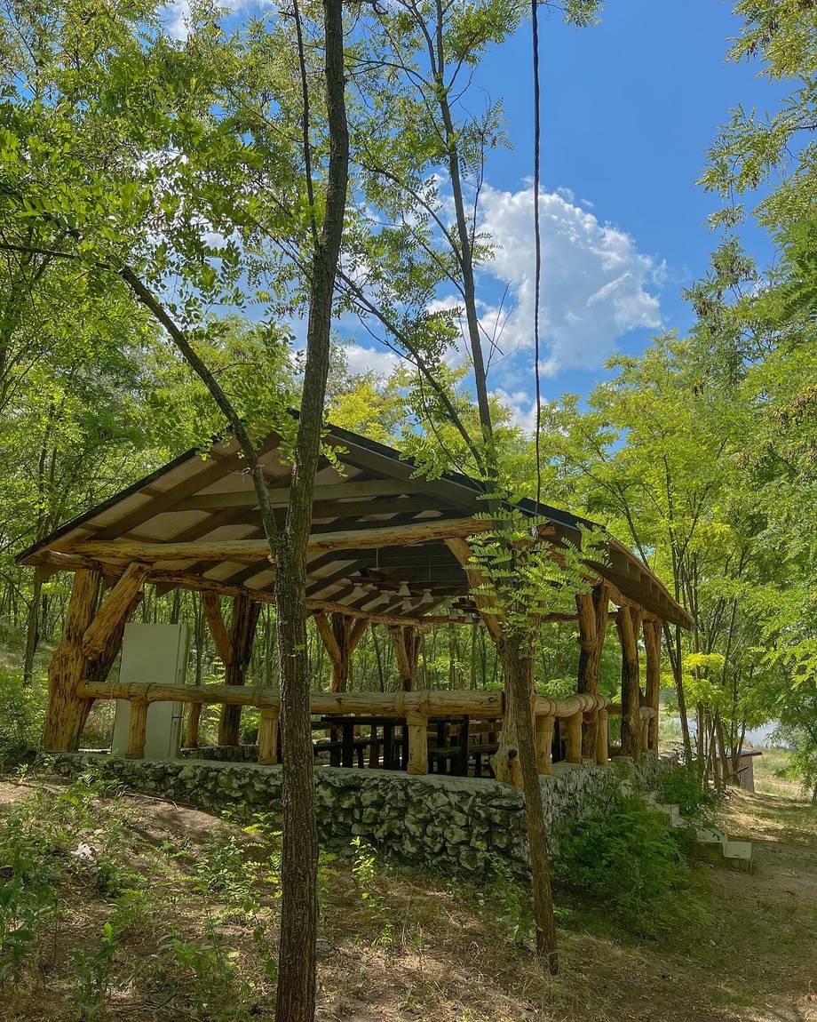 Wooden pergola pavilion nestled in forest clearing with natural light and green surroundings