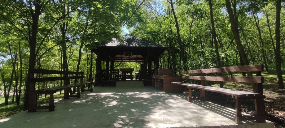 Tree-lined outdoor terrace with wooden pergola and seating areas