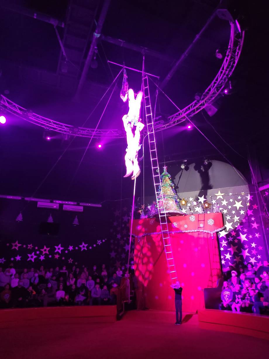 Chișinău State Circus - Circ în Râșcani (foto 6)