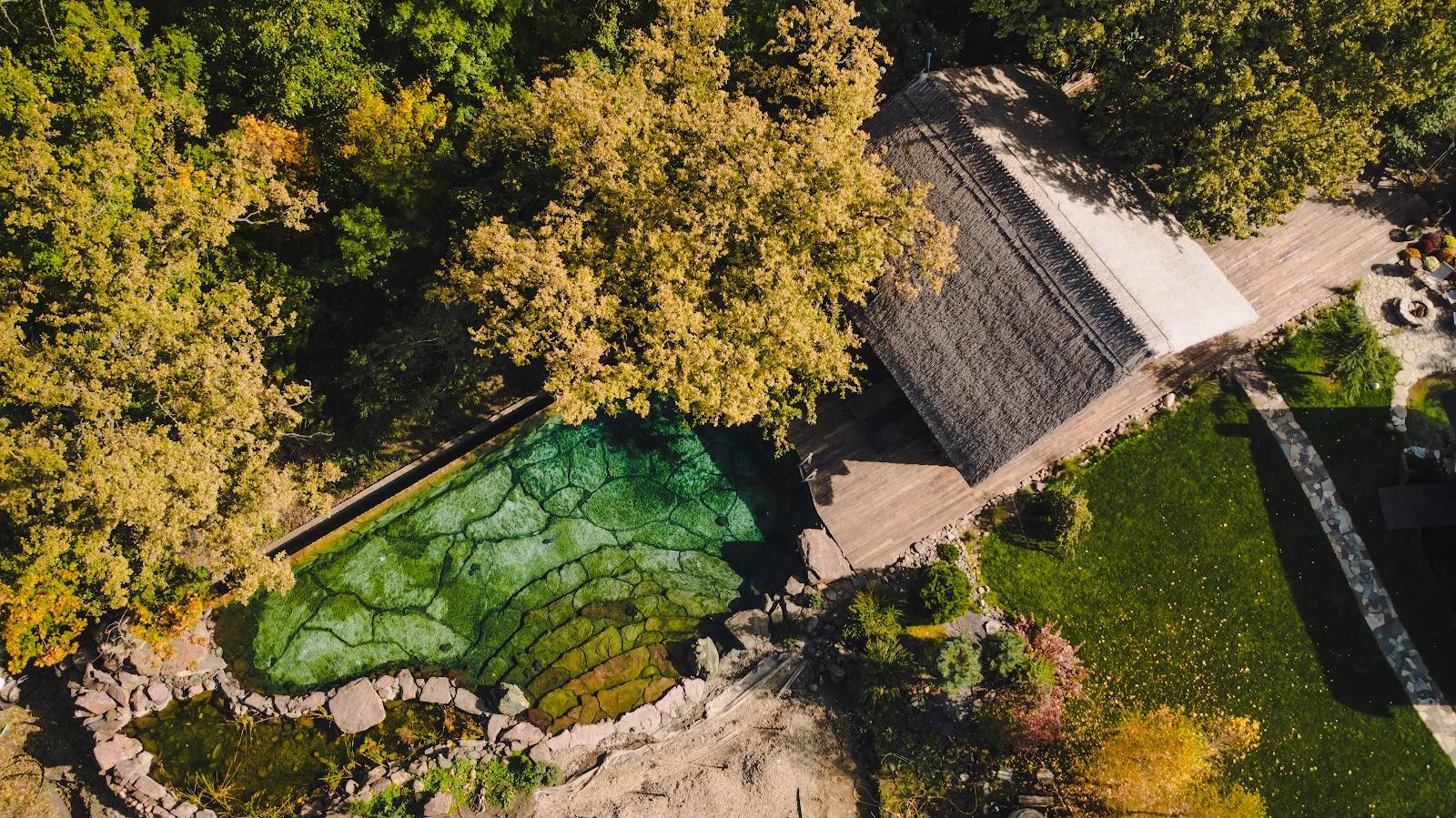 Woloshin Banya - Authentic sauna in Durlești (photo 2)