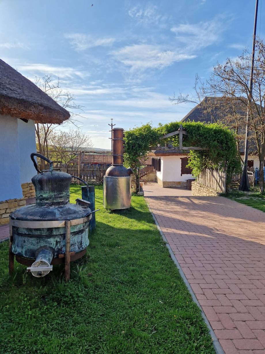 Rustic outdoor terrace with traditional clay oven and thatched-roof structures