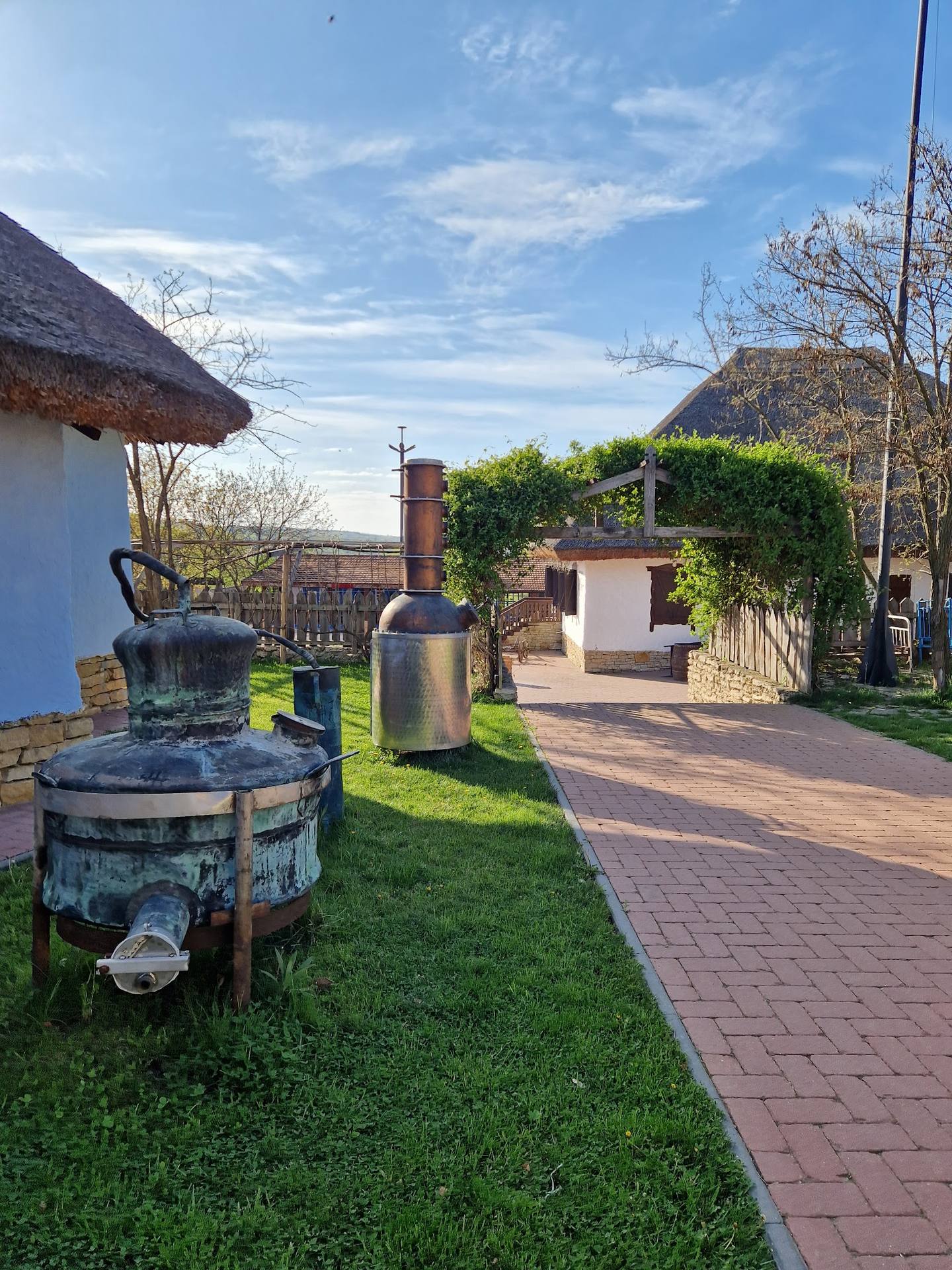 Rustic outdoor terrace with traditional clay oven and thatched-roof structures