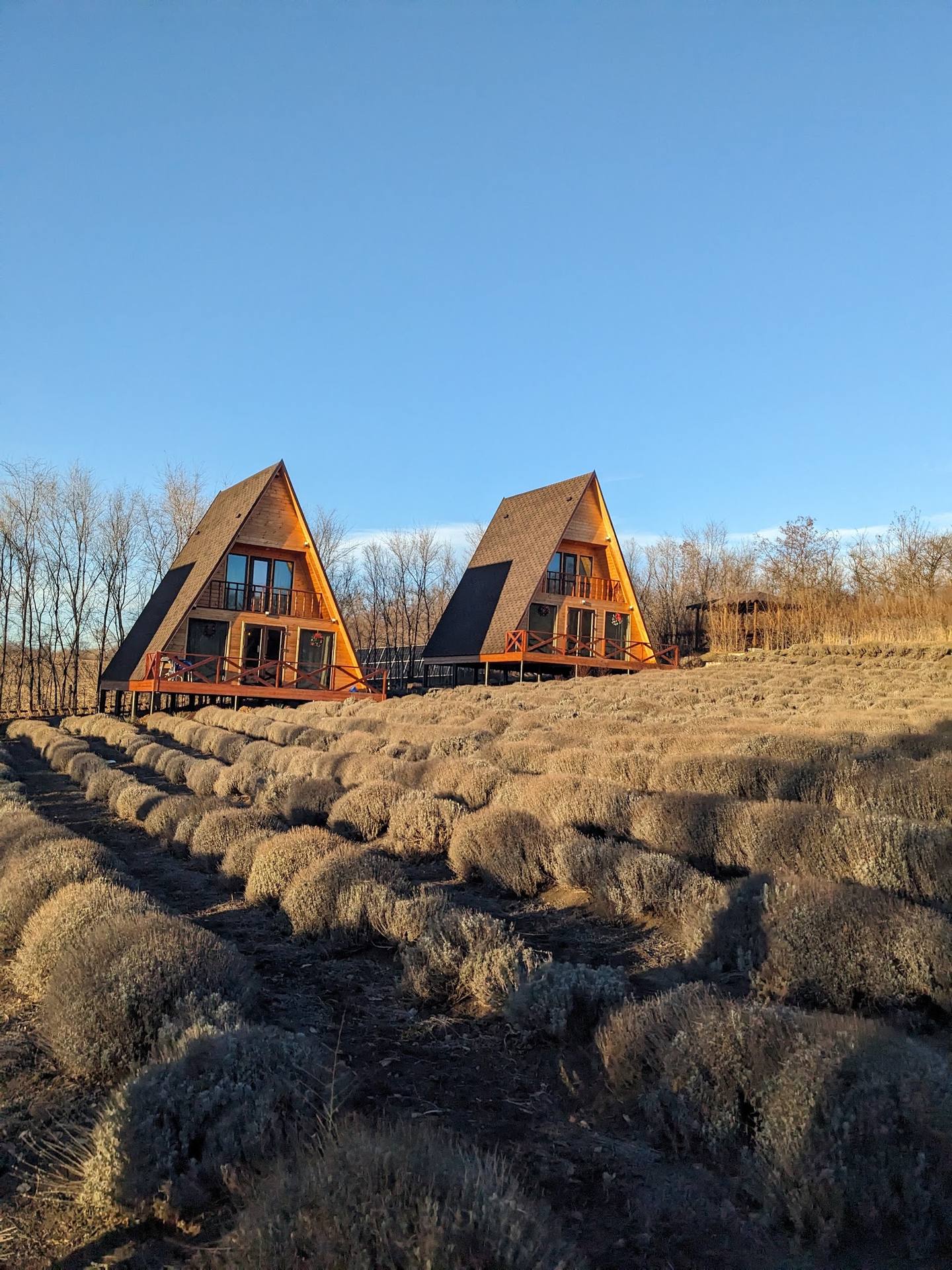 Pensiunea „La Iepurași" - Pensiune rurală în Mărculești (foto 1)