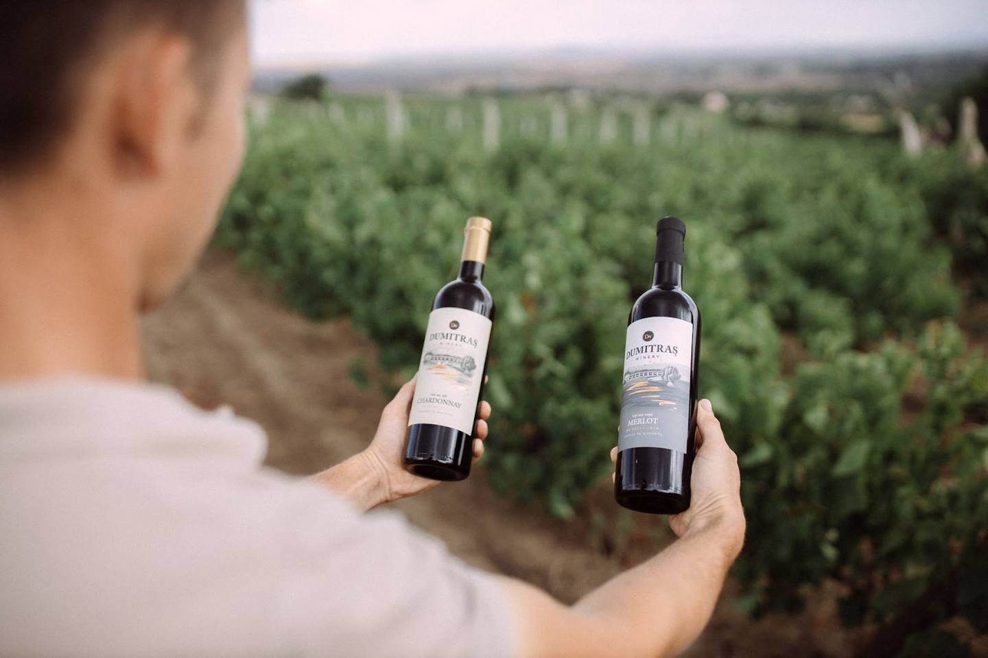 Vineyard owner holding wine bottles above sprawling grapevines with rolling hills backdrop