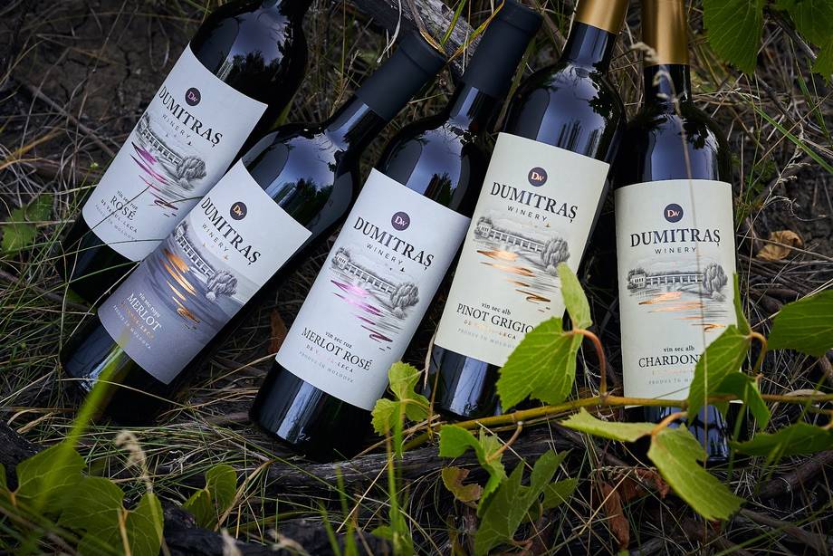 Collection of Dumitru's wine bottles arranged on natural terrain with vineyard foliage