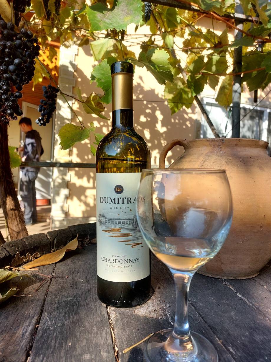Dumitran Chardonnay wine with glass at outdoor terrace under grapevine