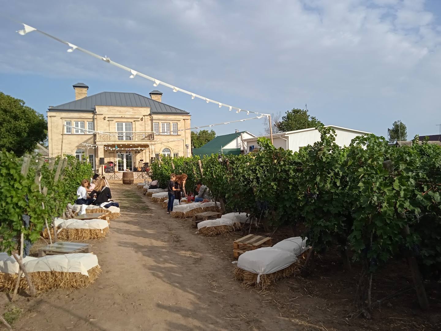 Wine estate courtyard with vineyard rows and ochre manor house overlooking the cellar terraces