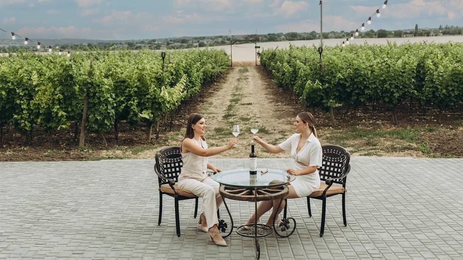 Intimate outdoor wine tasting in vineyard rows with paved terrace seating