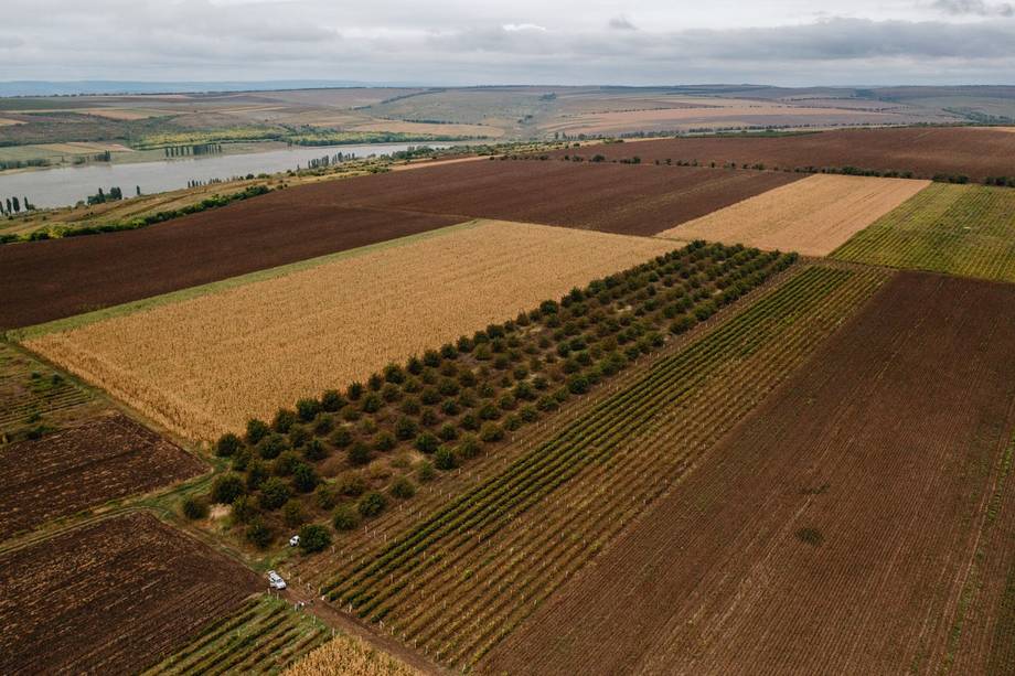 Aerial view of vineyard rows and agricultural fields in Moldova countryside