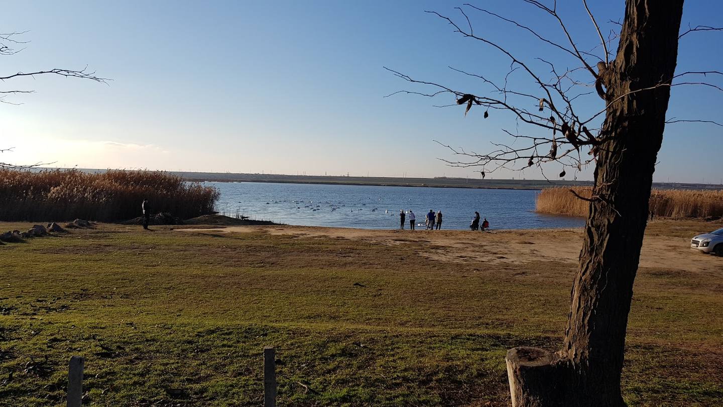 Lacul Cuciurgan - Birdwatching în Dnestrovsc (foto 1)